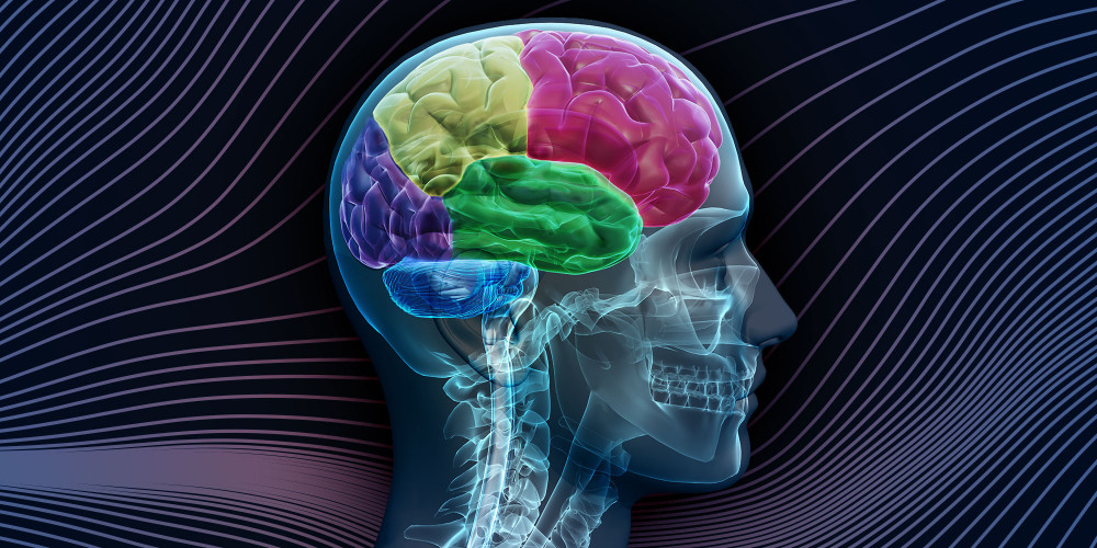 Your Brain After a Hurricane