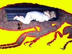 dr-drew-typhus-norovirus-los-angeles-plague-outbreak-fleas-2018-warning-LARGE-nofade